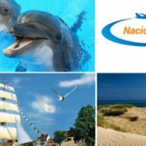 10.08.2024 Delfinārijs, Jūras muzejs, Dino parks!